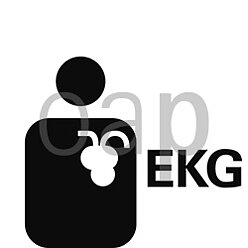 EKG