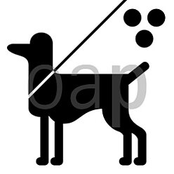 Blindenhund erlaubt