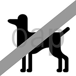 Tiere verboten