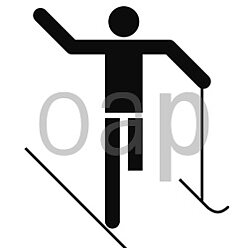 Ski für Schwerbeschädigte