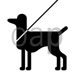 Hunde anleinen