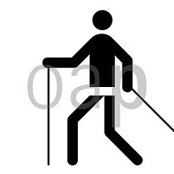 Nordic-Walking