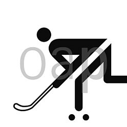 Rink-Hockey