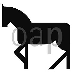 Pferd