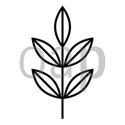Pflanzen