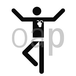 Kardiosport
